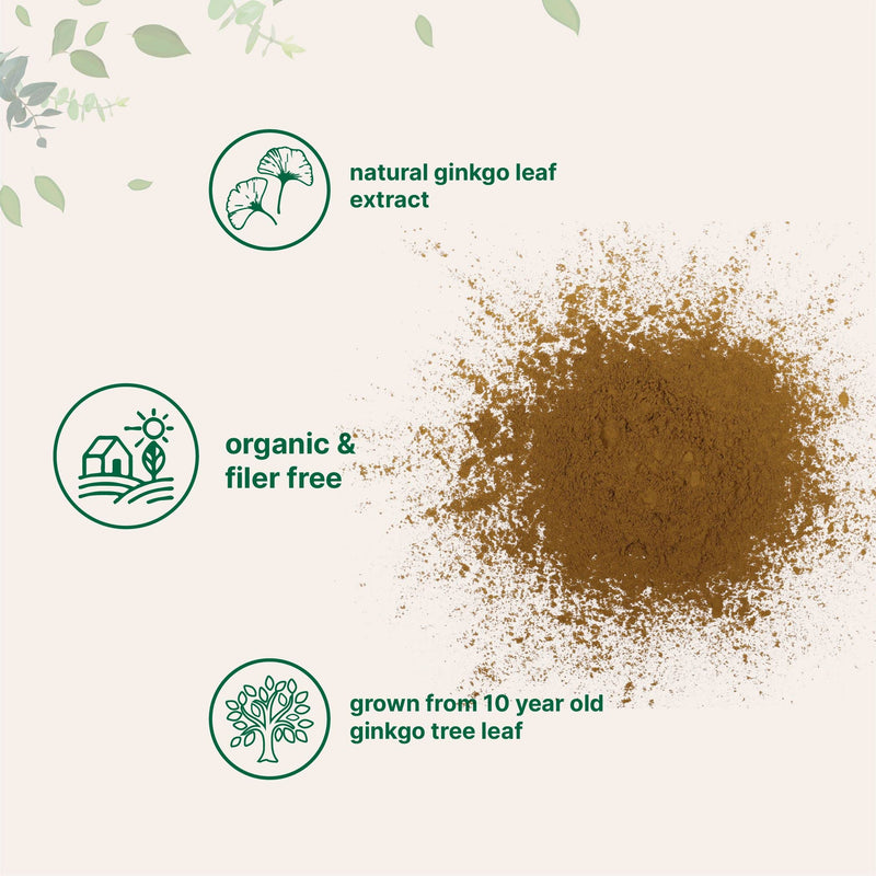 [Australia] - Micro Ingredients Raw Organic Ginkgo Biloba Powder, 8 Ounce (18 Months Supply), Filler Free, Supports Brain Function and Mental Alertness, No GMOs and Vegan Friendly 
