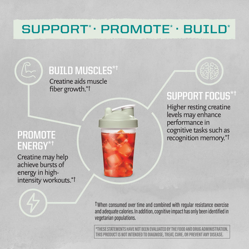 [Australia] - Creatine Monohydrate Powder Micronized PreWorkout Recovery Supplement | Support Muscle Building Strength Training Cognition | Vegan & Keto Friendly Easily Mixes (60 Serving) Unflavored Active Creatine 60 Servings (Pack of 1) 