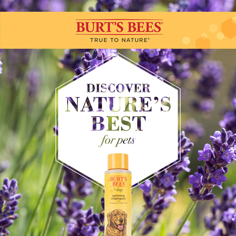 Burt's Bees for Pets Naturally Derived Calming Dog Shampoo with Lavender and Green Tea - Cleansing Lavender Dog Shampoo - Cruelty Free, Made in USA, 16 oz Unscented 16 Fl Oz (Pack of 1) - PawsPlanet Australia