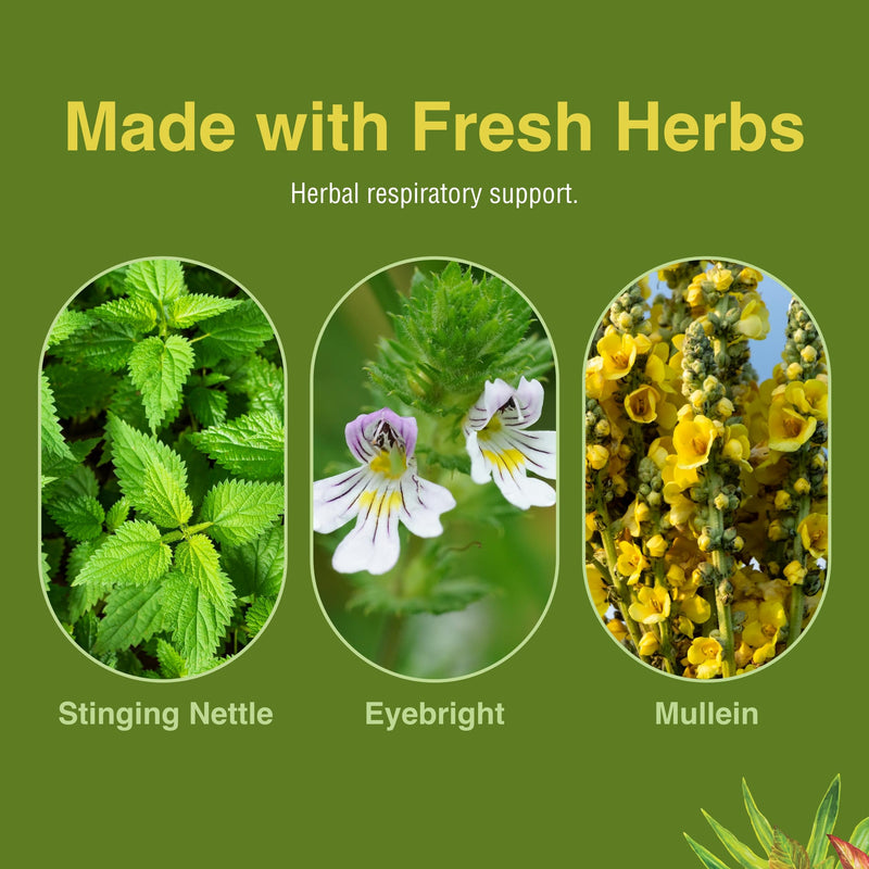 [Australia] - Herbs Etc. Allertonic - Healthy Breathing Support - Herbal Blend to Aid Against Seasonal Discomfort - Lung & Respiratory Health Support with Stinging Nettle - 120 Softgels (120 Servings) 120 Count (Pack of 1) 