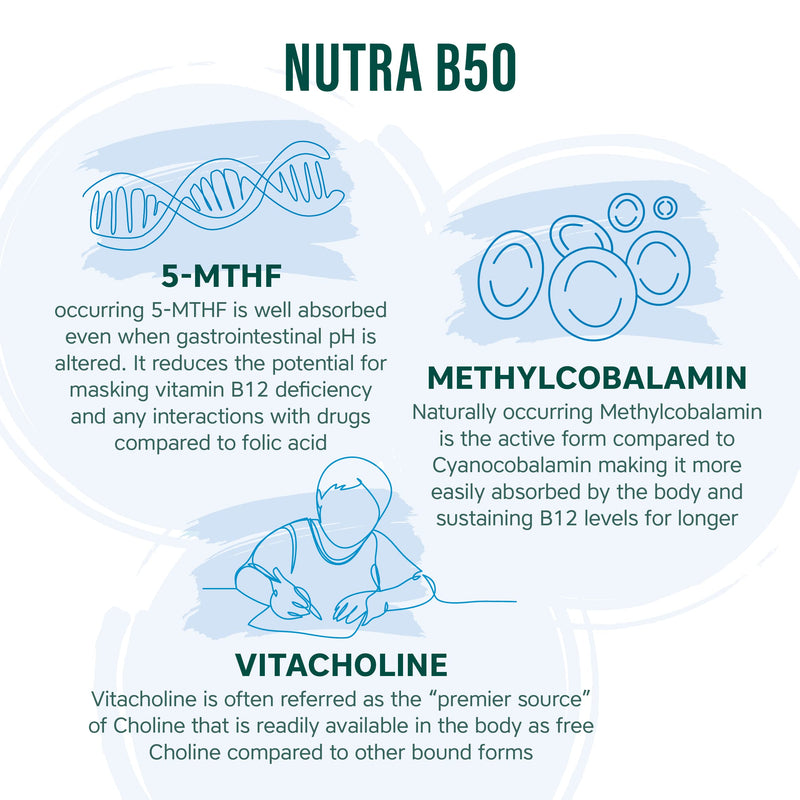 Nutra B50 Complex High Strength | Vegan 30 Tablets| Multivitamin Tablets - Folic Acid, Vitamin B, Vitamin C| Reduce Tiredness & Fatigue Whilst Supporting Your Immunce System - by NutraVit