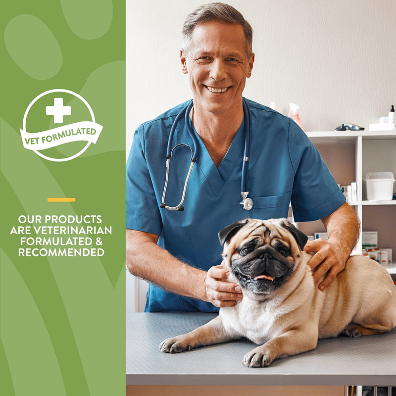 NaturVet - No Scoot for Dogs - 60 Soft Chews - Supports Healthy Anal Gland & Bowel Function & Stool Ease for Dogs – 40 Soft Chews – Helps Maintain Regular Bowel Movements - PawsPlanet Australia