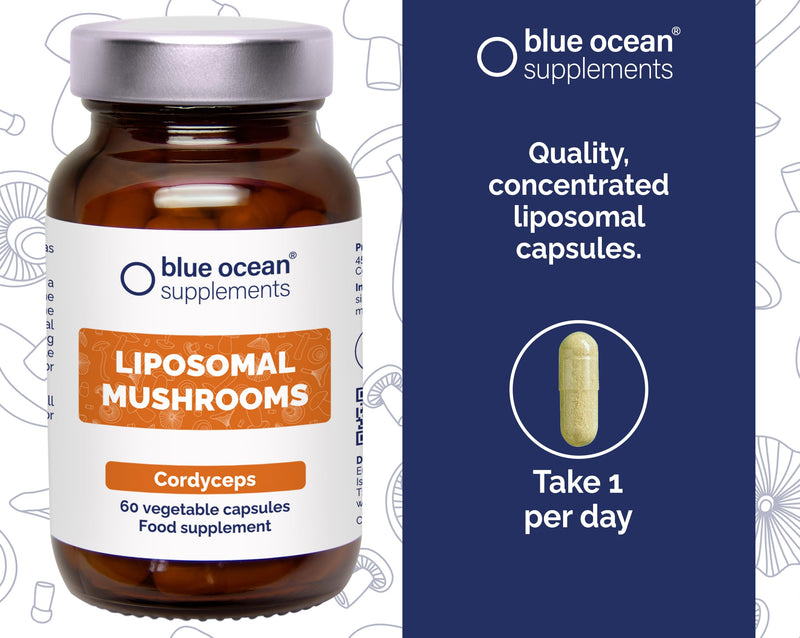 Cordyceps – World’s First and Only Powerful Liposomal Mushroom Technology – 60 Capsules – 60 Days’ Supply – Take 1 Per Day – Vegan – Gluten Free
