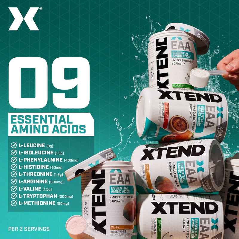 [Australia] - XTEND EAA + BCAA Powder | Muscle Recovery & Lean Muscle Growth | 9 Essential Amino Acids for Intra Workout or Post Workout Recovery | 10g EAAs Per 2 Servings | Blood Orange 40 Servings 