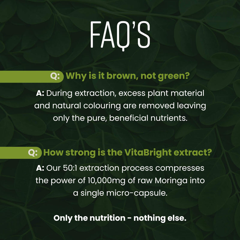 Pure Moringa Capsules | High Strength 10,000mg | 4 Months - 1 Per Day | No Additives | Vegan Superfood Powder Capsules | Pure Moringa Leaf Extract | VitaBright - Made in UK