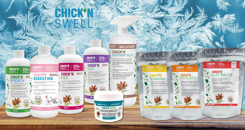 Premium Poultry Balm for Optimal Care and Healing-Chick'n Balm from Chick'n Swell - Legs- Wounds and Combs - with Healing Essential Oils and Sulfur, 4 Oz (113g). - PawsPlanet Australia