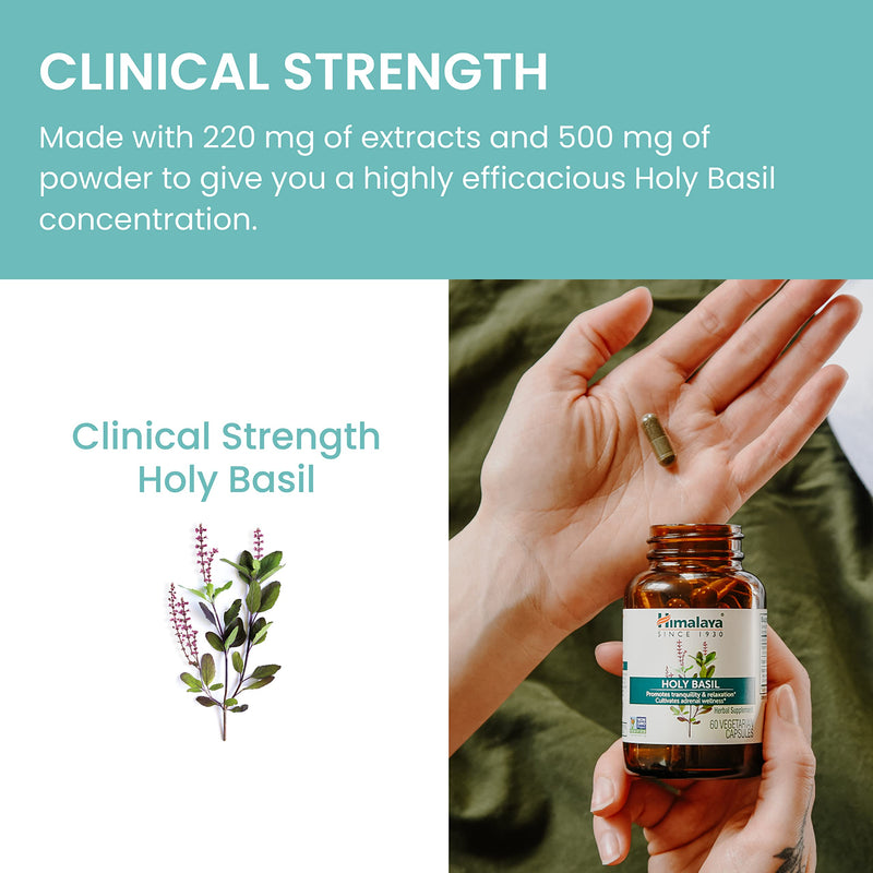[Australia] - Himalaya Holy Basil Tulsi Herbal Supplement, Stress Relief, Relaxation, Occasional Sleeplessness, Promotes Calm, Energy Support, Ayurvedic, Non-GMO, Vegan, 720 mg, 60 Capsules, 30 Day Supply 60 Count (Pack of 1) 
