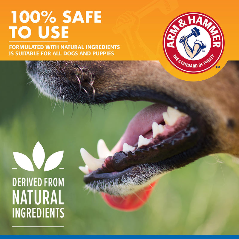 Arm & Hammer for Pets Combo Pack Dog Dental Tartar Control Water Additive and Fresh Breath Vanilla Ginger Enzymatic Toothpaste | Includes 16 Oz Dog Water Additive and 2.5 oz Dog Toothpaste - PawsPlanet Australia