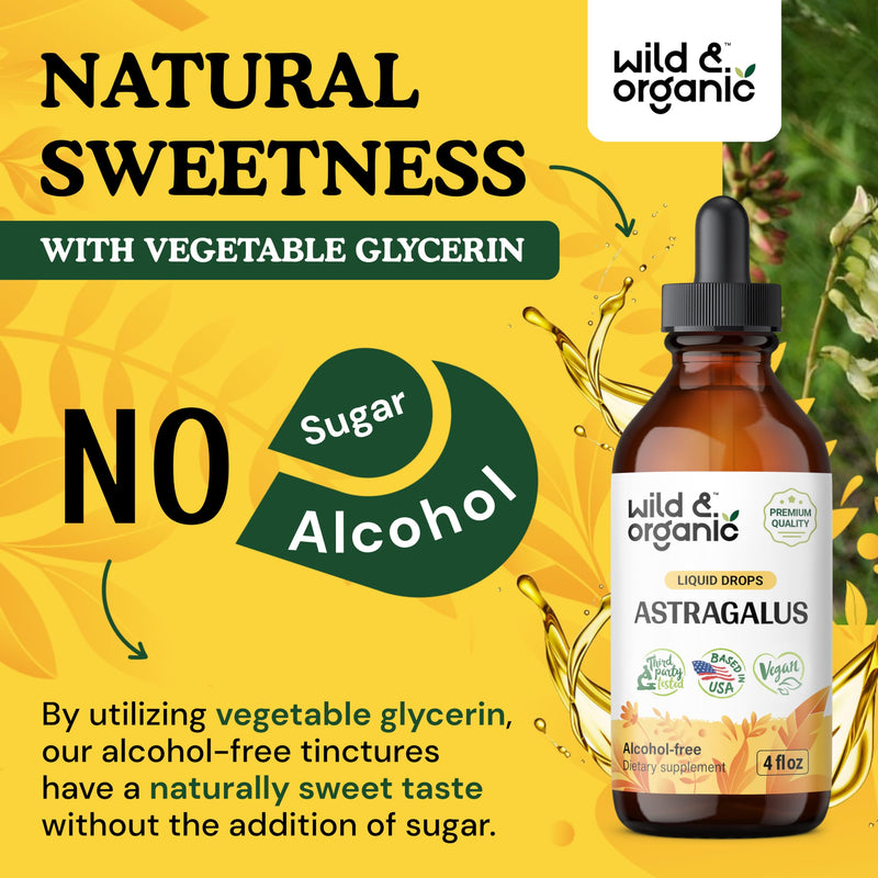 [Australia] - Wild & Organic Astragalus Tincture - Immune Support Supplement w/Astragalus Root - Vegan Astragalus Root Tincture for Immunity Support - Alcohol-Free Adaptogenic Drops w/Astragalus Extract - 4 oz 4 Fl Oz (Pack of 1) 