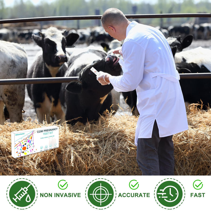 Cow Pregnancy Test kit, Home/Small Farm Use, 10-15 Minutes to Obtain Test Results, Accuracy Rate of Over 98.8%, Painless, Accurate and Quick