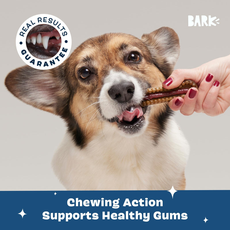 [Australia] - Barkbox Bright Durable Dental Kit, 15 Chew Sticks & Toothpaste - Medium Breeds (Berry Mint Flavored) 
