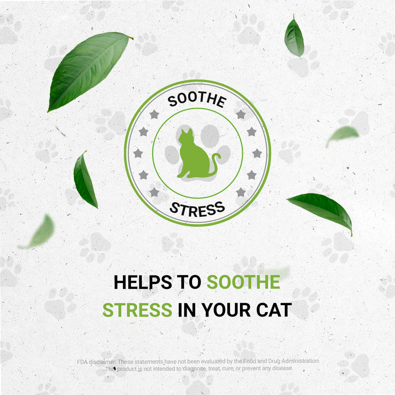 Lion's Anxiety | Natural Herbal Dietary Supplement for Cats | Support Stress Relief in Cats | Alcohol-Free Extract, Ashwagandha, Valerian, Catnip, Chamomile, Hops, Passionflower 2 oz - PawsPlanet Australia