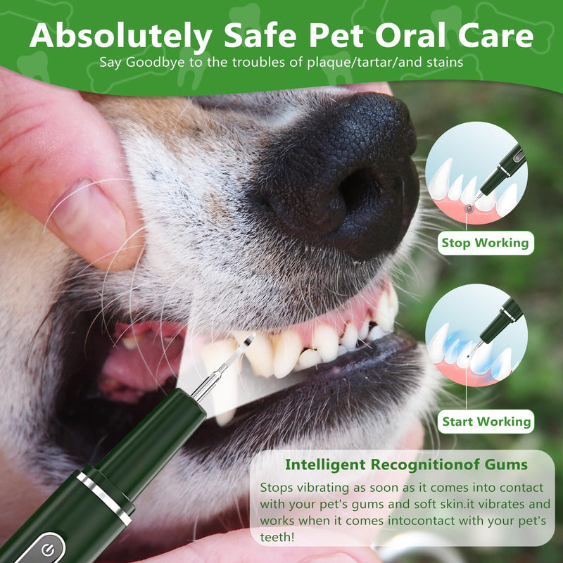[Australia] - Plaque Remover for Teeth - Electric Toothbrush for Dogs Pet Brush Set,Electric Five Modes + 3 Cleaning Head, Plaque Remover for Teeth Stains for Dogs and Cats (Dark Green, Large) 