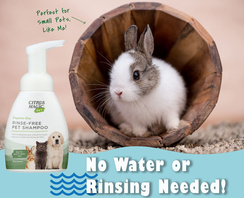 Citrus Magic Pet Rinse-Free Pet Shampoo, 8-Fluid Ounce, Pack of 2 8 fl oz (Pack of 2) - PawsPlanet Australia