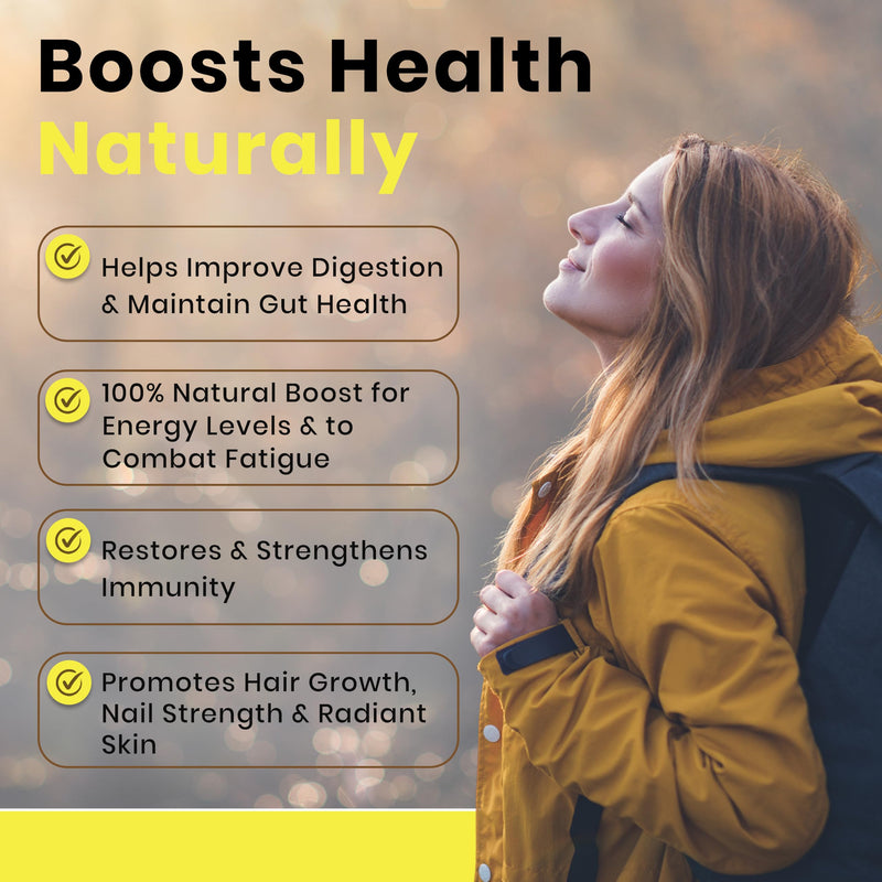 365 x 600mg Brewers Yeast Capsules 100% Pure & Natural Not Debittered HACCP Certified Manufactured in The UK (365) 365