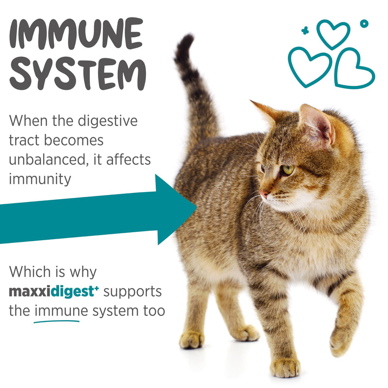 maxxidigest+ Probiotic & Prebiotic Powder Supplement - Digestive & Immune Support for Cats, 7oz 7 oz - PawsPlanet Australia