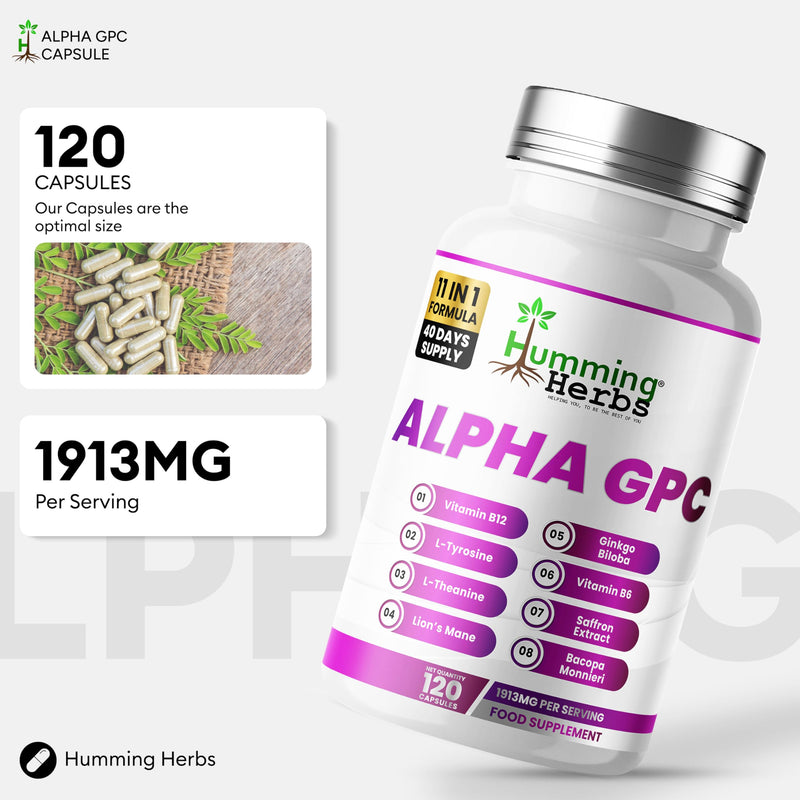 Humming Herbs Alpha GPC Complex 11-in-1 – Alpha-GPC, Lion’s Mane, Bacopa, L-Tyrosine, L-Theanine, Phosphatidylserine, Saffron, Vitamins B5 B6 B12 – 120 Vegan Capsules | 40 Day Supply