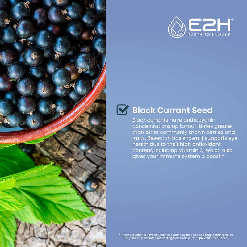 [Australia] - E2H Natural Black Currant Extract, Cold Pressed Black Currant Seed - Immune System Health - Fast Absorbing Liquid - 2 Fl Oz 2 Fl Oz (Pack of 1) 