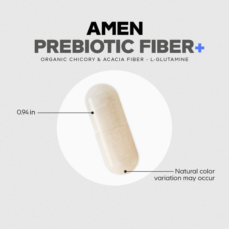 Amen Prebiotic Fiber, Acacia, Chicory Inulin, L-Glutamine, 60 Capsules | Organic chicory inulin and acacia prebiotic fiber with L-glutamine. Vegan, non-GMO.
