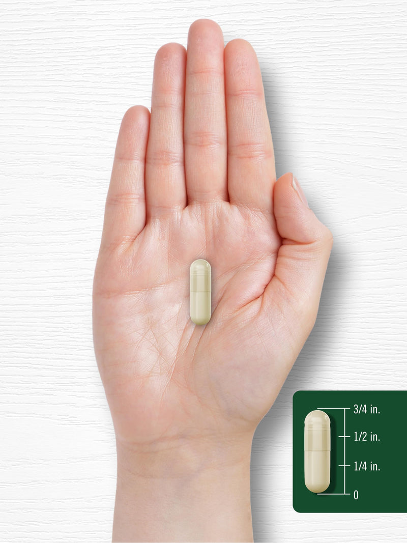 [Australia] - Carlyle Garcinia Cambogia 3000mg | 180 Capsules | Non-GMO, Gluten Free Supplement Extract 
