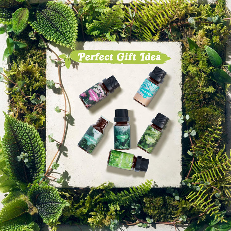 [Australia] - SALKING Natural Essential Oils Set, Aromatherapy Fragrance Oil Gift Set, Pure Fragrance Oils for Diffuser Humidifiers, 6 x 10 ml (Pine, Sea Breeze, Rain, Freshly Cut Grass, Wild Flowers, Mountain Air) 