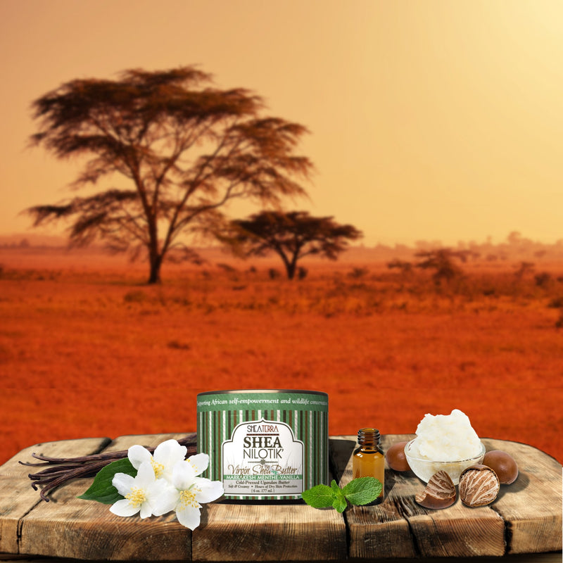Shea Terra - Cold-Pressed Virgin Shea Butter, Marrakesh Menthe Vanilla | Anti-aging daily moisturizer for dry skin, nails & hair. Softens hydrates & helps reduce the look of stretch marks & wrinkles