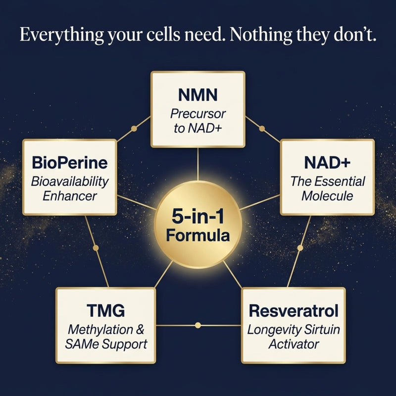 NAD+ Supplements 1255mg, NAD Plus Liposomal Premium Capsules with Nicotinamide Riboside, Trans-Resveratrol & TMG, High Strength for Cellular Energy, Metabolism & Healthy Ageing, 120 Capsules