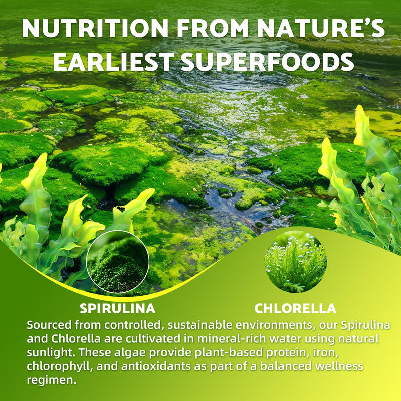 Spirulina Chlorella Gummies, Support Energy, Immune System & Antioxidant | Super Greens Blend with Protein, Chlorophyll, Vitamin C, D3, B12, Zinc, Pineapple Flavor, 60 Count 60 Count (Pack of 1)