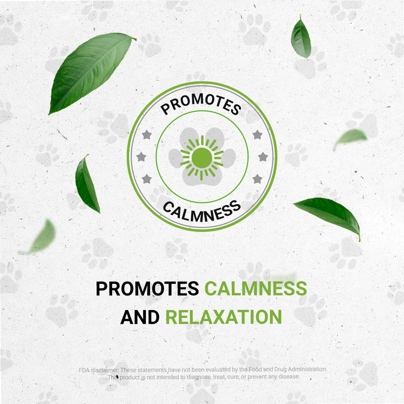 Lion's Anxiety | Natural Herbal Dietary Supplement for Cats | Support Stress Relief in Cats | Alcohol-Free Extract, Ashwagandha, Valerian, Catnip, Chamomile, Hops, Passionflower 2 oz - PawsPlanet Australia