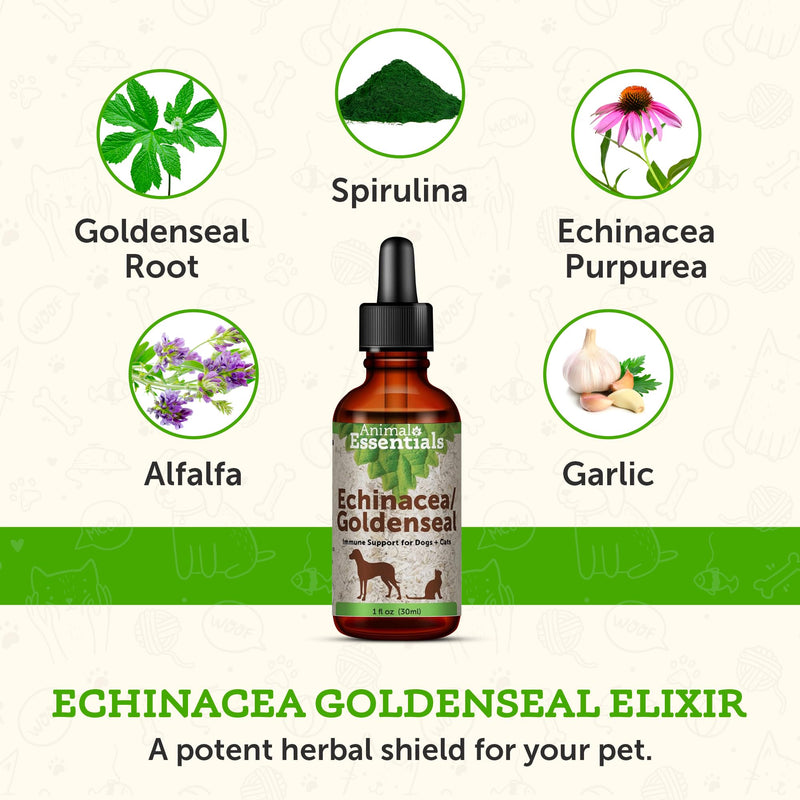 [Australia] - Animal Essentials Echinacea Goldenseal - Herbal Formula for Dogs and Cats, Immune Support, 100% Organic Herbs, Veterinarian Recommended - 1 Fl Oz 
