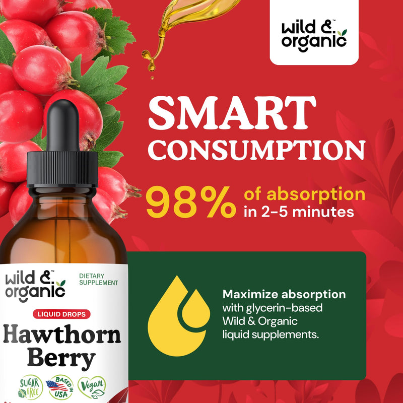 [Australia] - Wild & Organic Hawthorn Berry Tincture 600 mg - Liquid Hawthorne Berry Supplement for Overall Support - Vegan, Sugar & Alcohol-Free Fruit Extract Drops - 4 fl oz 4 Fl Oz (Pack of 1) 