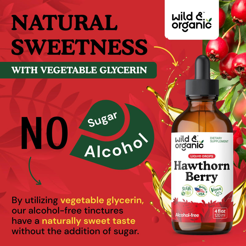 [Australia] - Wild & Organic Hawthorn Berry Tincture 600 mg - Liquid Hawthorne Berry Supplement for Overall Support - Vegan, Sugar & Alcohol-Free Fruit Extract Drops - 4 fl oz 4 Fl Oz (Pack of 1) 