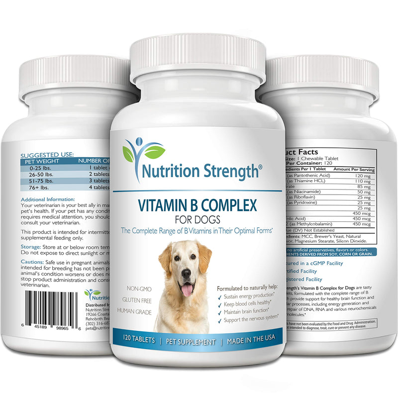 Vitamin B for Dogs, Complete B Complex for Dogs, Promote Blood Cell & Nervous System Health, Help Sustain Cellular Energy Production & Maintain Brain Function, 120 Chewable Tablets - PawsPlanet Australia