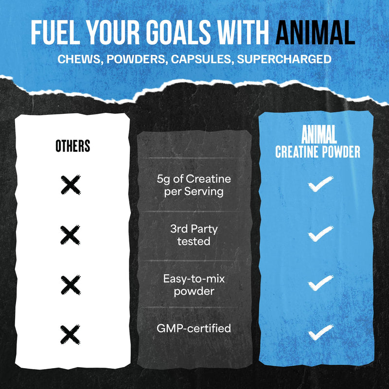 [Australia] - Animal Creatine Monohydrate Powder ‚Äì Micronized Creatine for Women and Men, Supports Muscle Growth, Strength, Endurance, Recovery and ATP Production, Gym & Workout Supplements - Unflavored, 300g 300g (Pack of 1) 