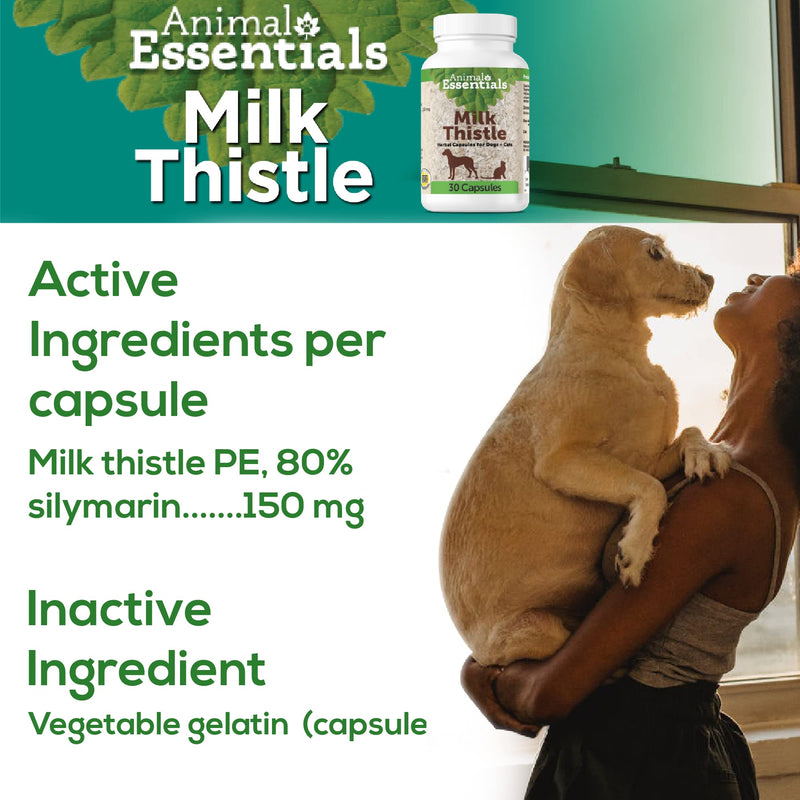Animal Essentials Milk Thistle Liver Support for Dogs and Cats, 30 Capsules - Made in USA Liver Supplement - PawsPlanet Australia