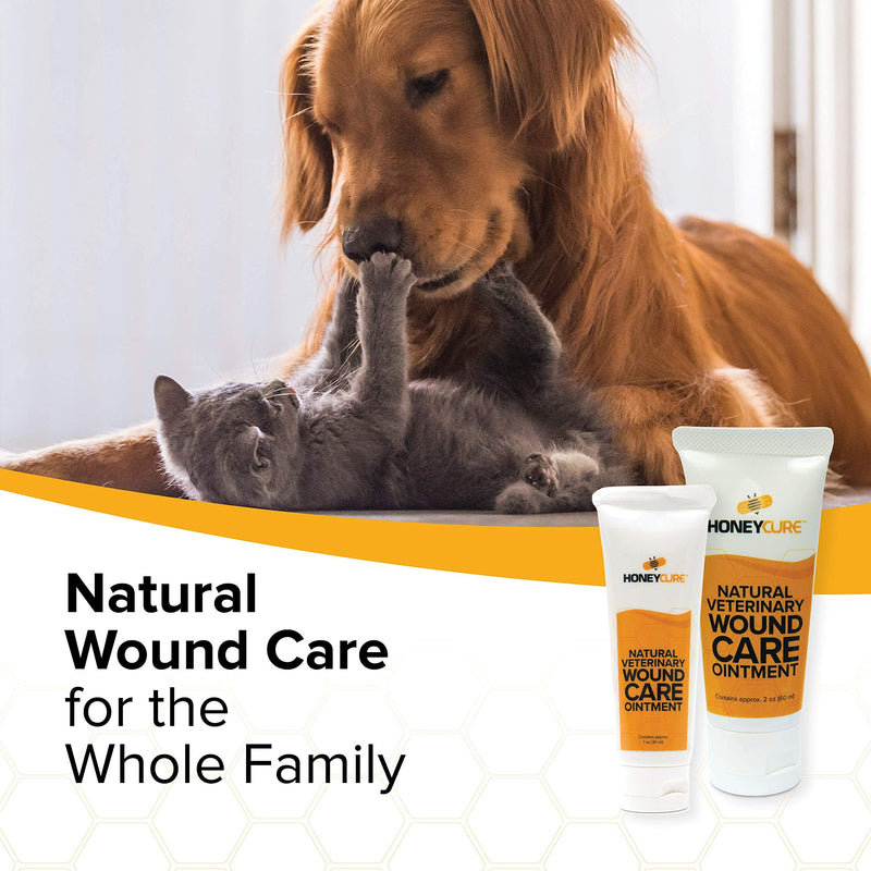 Natural Veterinary Ointment for Wound Care, Manuka Honey, for Dogs, Cats, & Horses, 1oz. Tube 1 Oz. - PawsPlanet Australia
