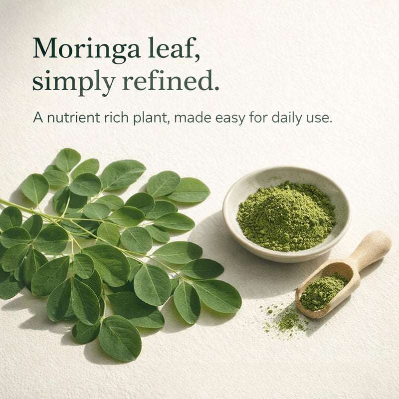Max Absorption Moringa Liquid Drops, Moringa Oleifera Leaf Extract 400mg per Serving, 10:1 Equivalent to 4000mg Dried Leaf, 60ml