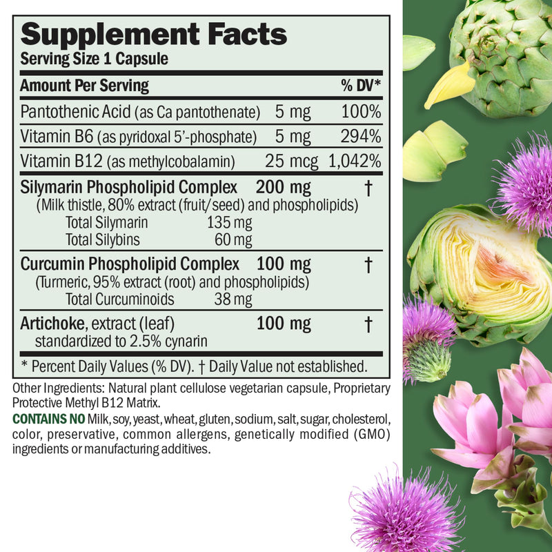 Andrew Lessman Liver Anti-Oxidant Extracts 180 Capsules | Milk Thistle & Curcumin phospholipid complexes for enhanced absorption. Includes Artichoke & B Vitamins. 180 Count (Pack of 1)