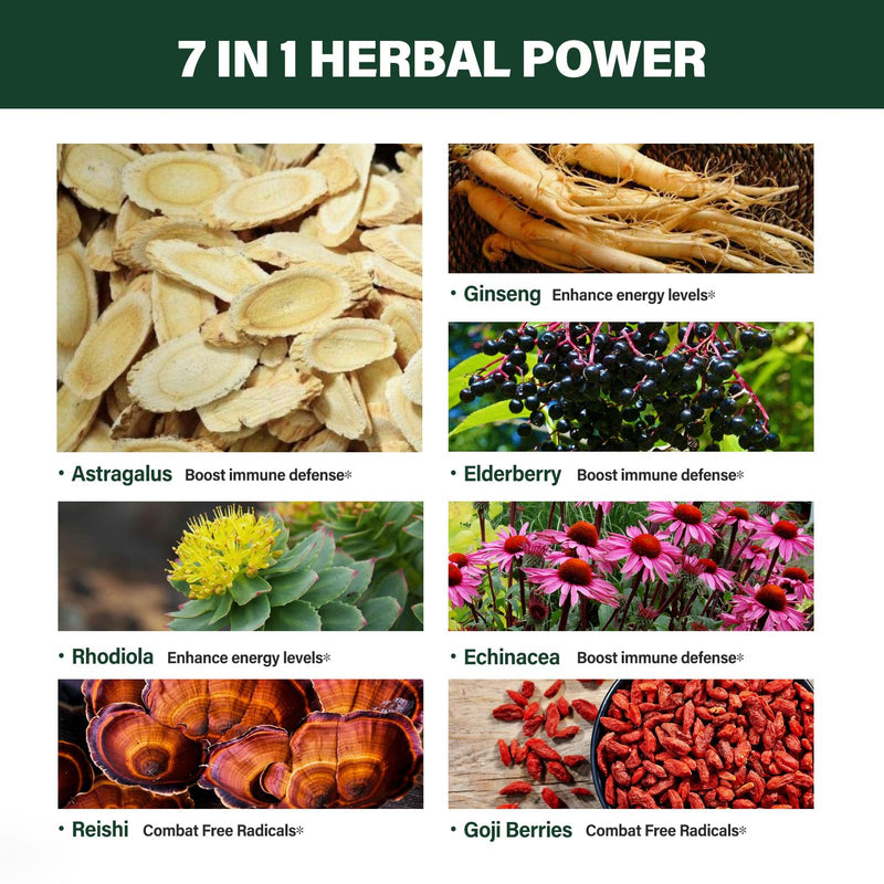 [Australia] - Astragalus Root Extract Herbal Drops for Immune System Support, Immunity Health & Energy Boost Tincture Supplements with Rhodiola Rosea, Echinacea, Elderberry, Reishi, Ginseng. Huang Qi. 2oz 