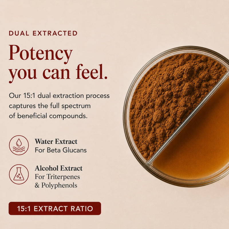 Ancient Extracts Reishi Mushroom Powder 15:1 Extract (60 servings) | Promotes Immune Health & Stress Support | 1 Serving Equals 15,000mg of Raw Mushroom | 30% Beta Glucans | Tested for Purity & Safety