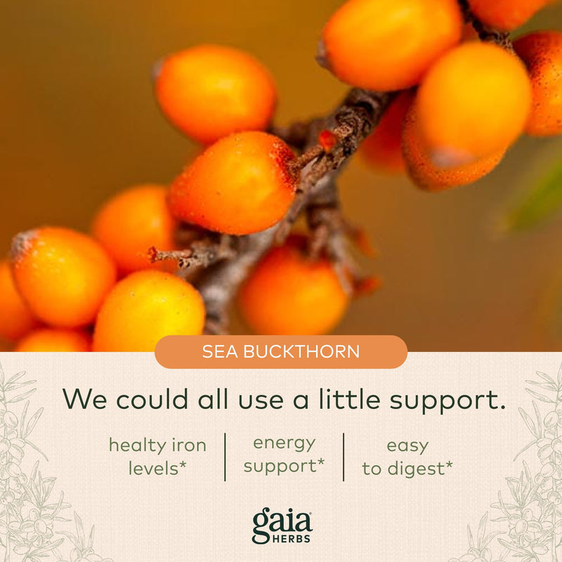 [Australia] - Gaia Herbs Plant Force Liquid Iron - Vegetarian Iron Supplement to Help Maintain Healthy Iron & Energy Levels - with Star Anise, Sea Buckthorn, Beet Root, Dandelion & Nettle - 8.5 Fl Oz (25 Servings) 8.5 Fl Oz (Pack of 1) 