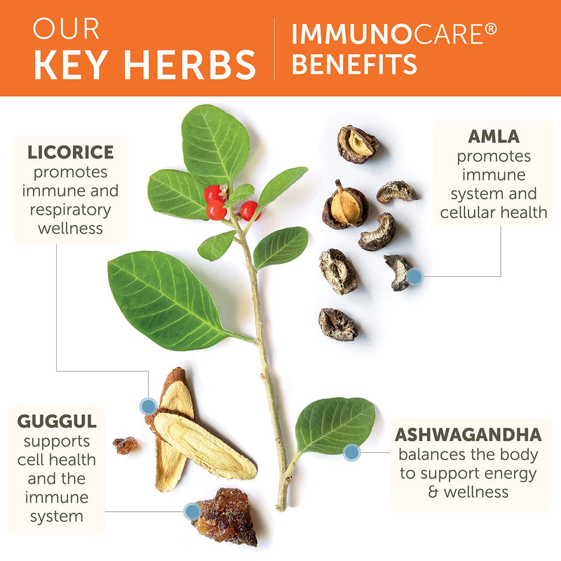 [Australia] - Himalaya ImmunoCare - Herbal Immune Support Supplement with Ashwagandha and Amla - Vegan, Non-GMO, Gluten Free, 840 mg, 120 Capsules 120 Count (Pack of 1) 