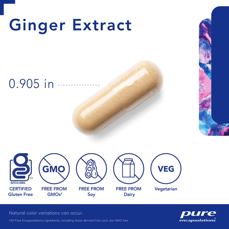 [Australia] - Pure Encapsulations Ginger Extract | Supplement to Support The Digestive, Musculoskeletal, and Cardiovascular Systems* | 120 Capsules 120 Count (Pack of 1) 