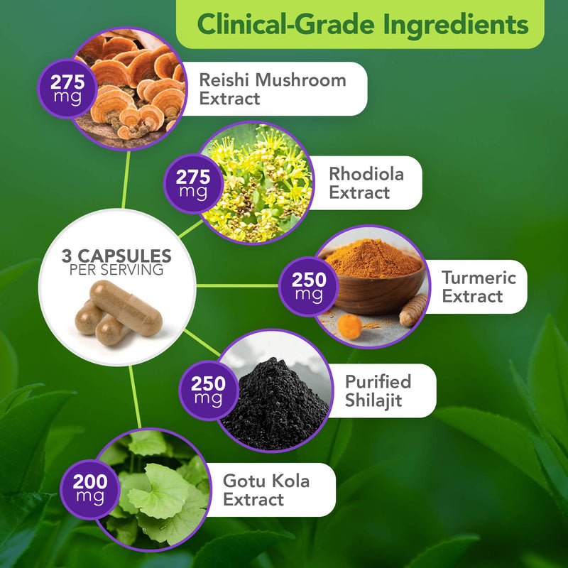 Vital Plan Daily Herbal Supplement by Dr. Bill Rawls – Herbal Immunity Booster for Immune Support, Microbiome Balance & Cell Health — Reishi Mushroom, Turmeric & Rhodiola