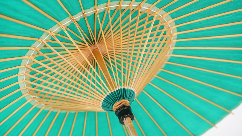 Asian Home Rainproof Handmade Japanese Oiled Paper Umbrella Parasol 41.7inch Pale Green