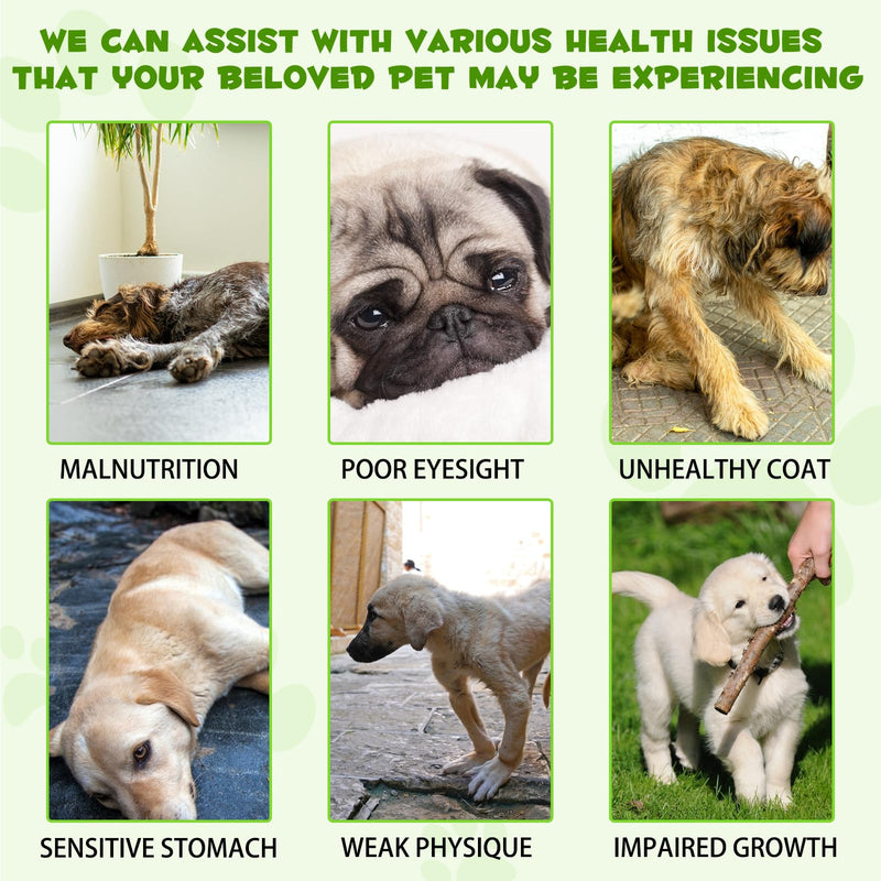 Probiotics for Dogs，3-in-1 Dog Probiotics，Dog Probiotics for Digestive Support, Dog Probiotic Supplements，Pet Probiotics for Dogs， Liquid Probiotics for Dogs | 2 Oz - PawsPlanet Australia