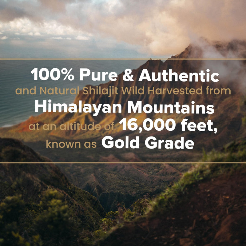 100% Pure Himalayan Shilajit Resin 40g – Premium Authentic Pukka Shilajit Rich in Fulvic Acid & 85+ Trace Minerals – Natural Energy, Strength, Stamina & Immune Support Supplement for Men & Women