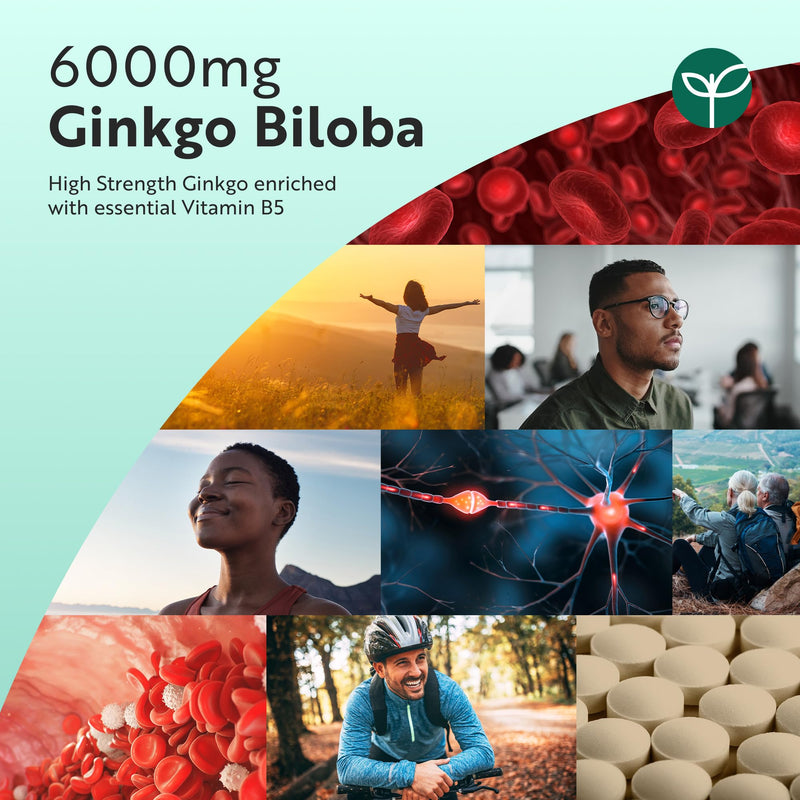 Nutravita Ginkgo Biloba 6000mg Vegan Tablets Enriched with Vitamin B5 – 365 Tablets – Ginko Biloba High Strength Supplement – 50:1 Extract - 1 Year Supply Pan-EU Label