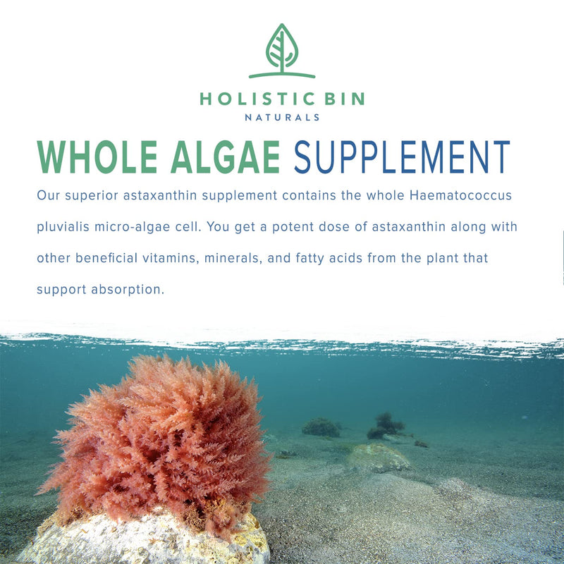 [Australia] - Organic Astaxanthin Powder | Powerful Natural Antioxidant Supplement for Smoothies and Capsules | Whole Haematococcus Pluvialis Algae Supplement (20 Grams) 