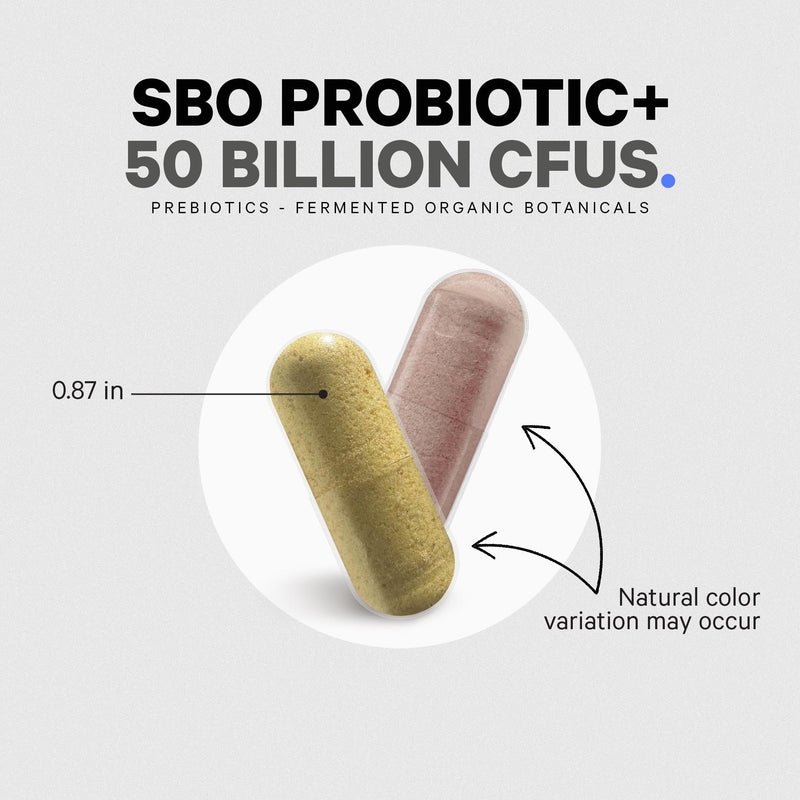Codeage SBO Probiotics, 50 Billion CFUs Per Serving, Multi Strain Soil Based Organisms Blend and Organic Fermented Botanical Blend, Shelf-Stable, 90 Capsules 1